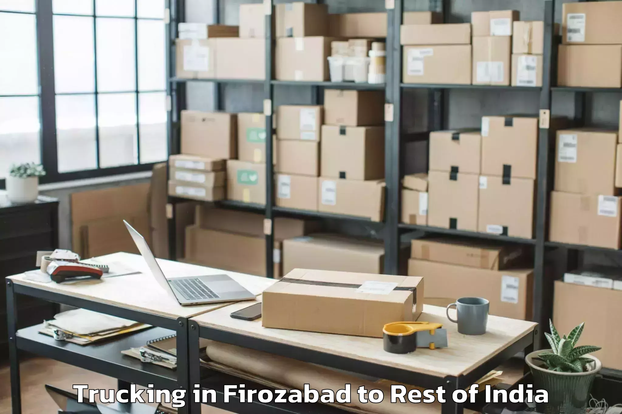 Professional Firozabad to Rajouri Trucking